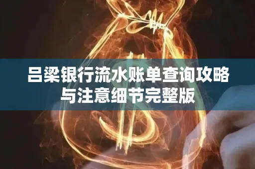 吕梁银行流水账单查询攻略与注意细节完整版