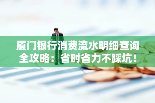 厦门银行消费流水明细查询全攻略：省时省力不踩坑！