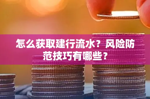 怎么获取建行流水？风险防范技巧有哪些？