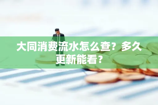 大同消费流水怎么查？多久更新能看？